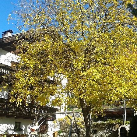 شقة Huberhof بريسّانوني المظهر الخارجي الصورة