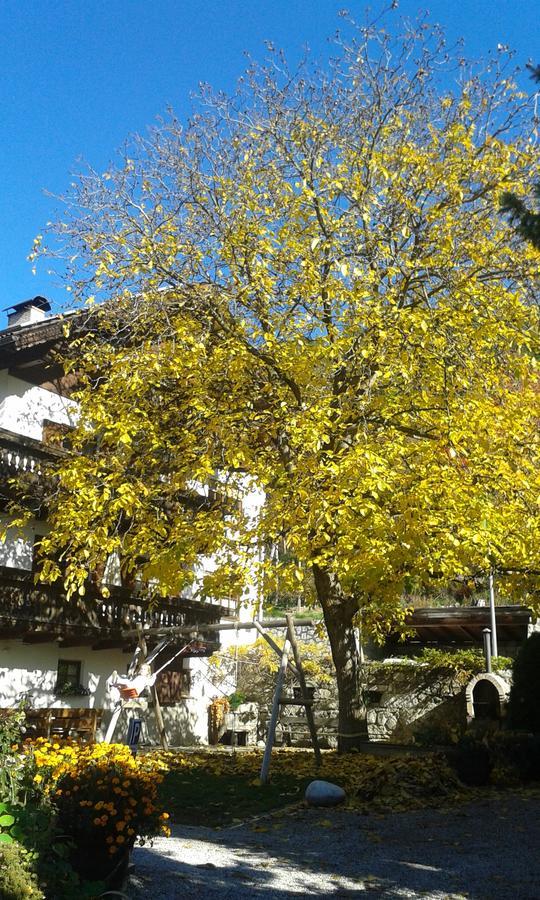 شقة Huberhof بريسّانوني المظهر الخارجي الصورة